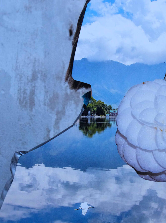 **ELECTRIC BLANCETT**